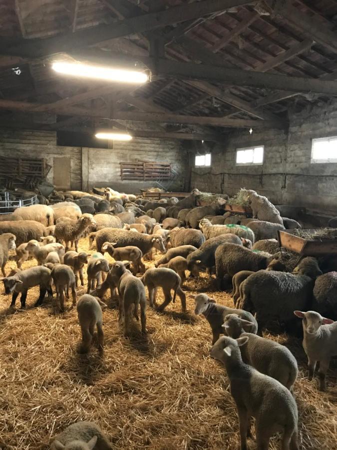 Studio A La Ferme Villa Арл Екстериор снимка