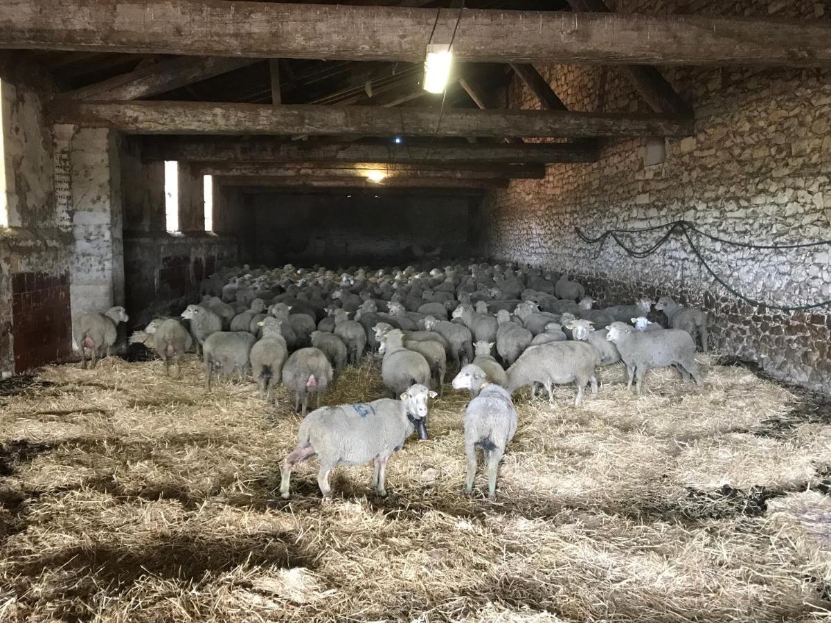 Studio A La Ferme Villa Арл Екстериор снимка